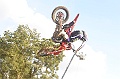 _ROB3861 (Copy)